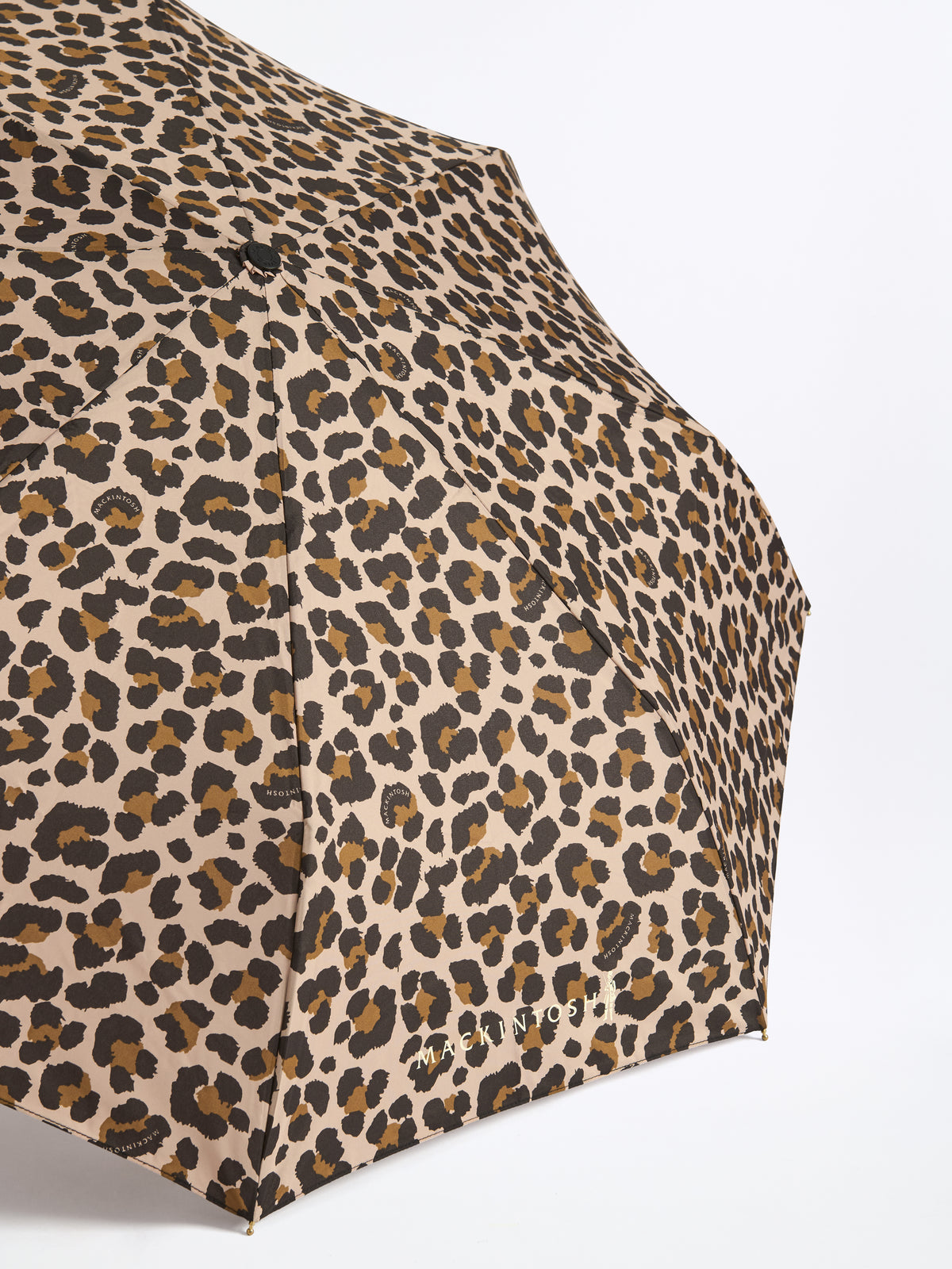 Ayr Automatic Telescopic Umbrella